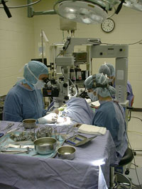 Surgical Procedure