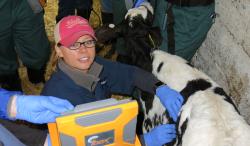 Theresa Ollivett, DVM, PhD, DACVIM (LAIM)
Theresa Ollivett, DVM, PhD, DACVIM (LAIM)