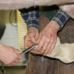 close up photo of farrier Dean Johanningmeier holding a horse's hoof