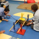 cat crawls under low bars on therapy mat as excited staff look on.