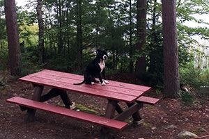 Buddy at his home on the lake