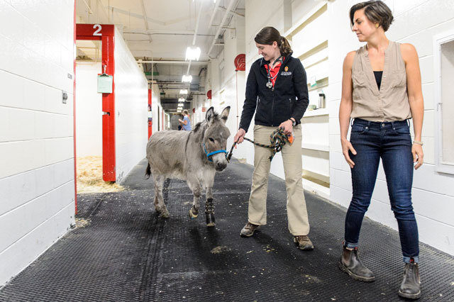 Samantha Morello and Kelly Shaw walk Ferguson