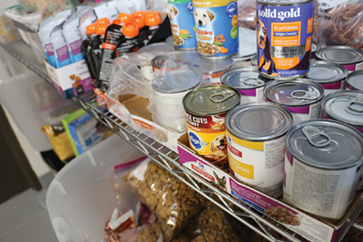 Pet food and supply pantry
