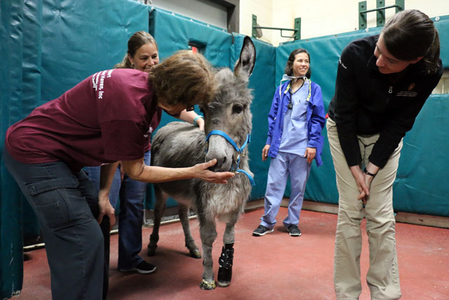 Ferguson stands after being fitted with his prosthesis