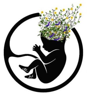 Maternal Breathing Dysfunction during Pregnancy Increases Risk for Psychiatric Disorders in Her Offspring: A Paradigm-Shifting Concept