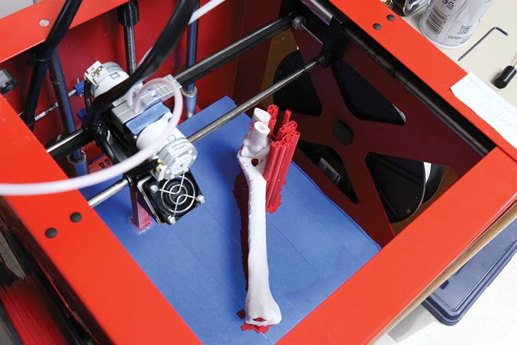 A bright red 3D printing machine is shown rendering a canine limb model.