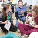 Three women, veterinarian techs and volunteers, sit on floor of clinic with cat during spay and neuter clinic