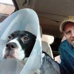 Man sits in car with his dog, Sarge, wearing a plastic head cone.