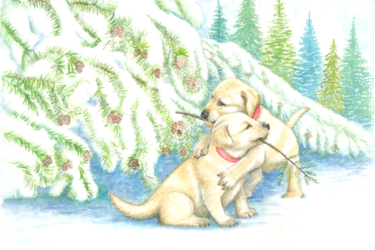 two puppies in snow