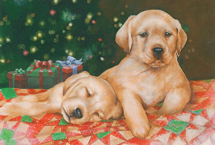 two lab puppies. one awake. one asleep