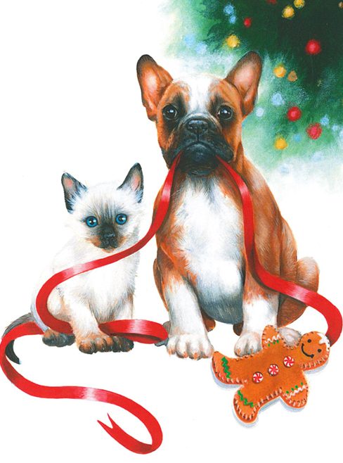 Dog and cat playing with red ribbon