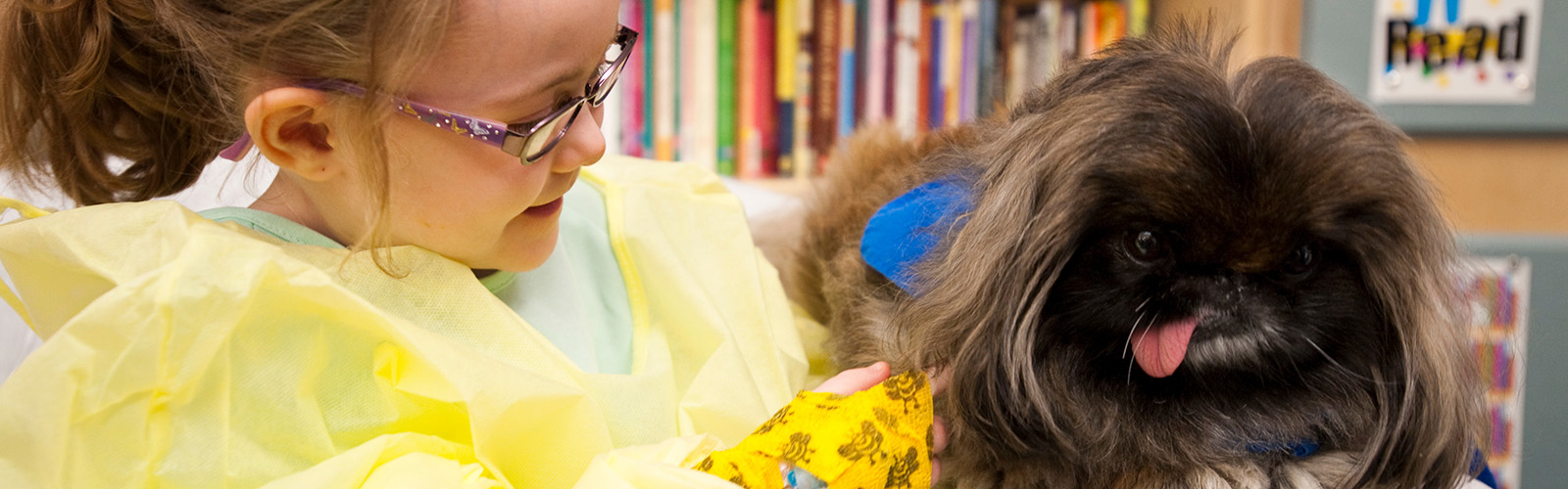 child petting dog