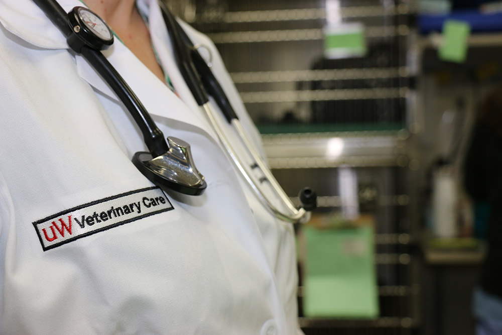 veterinarian in white coat with stethoscope