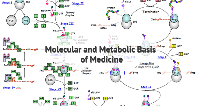 Molecular and Metabolic Basis for medicine