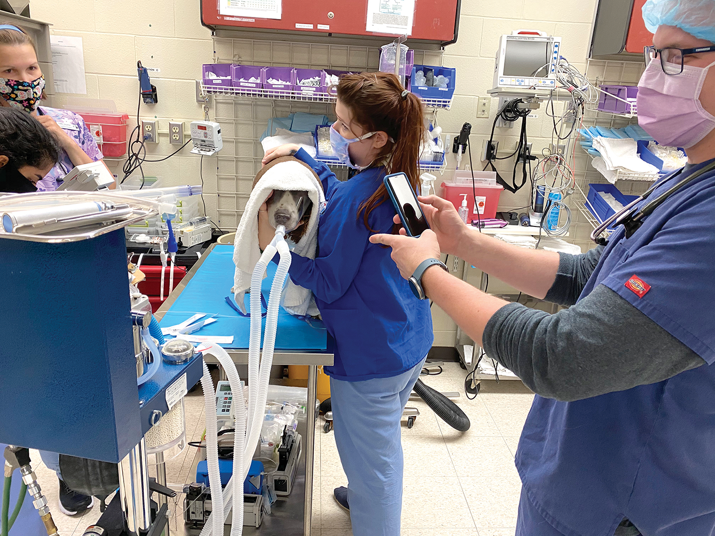 Dog on exam table with veterinarian staff wearing masks.