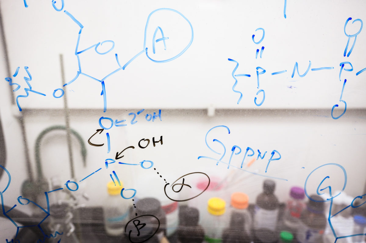 Chemical equations and notations are written on a fume hood's glass surface