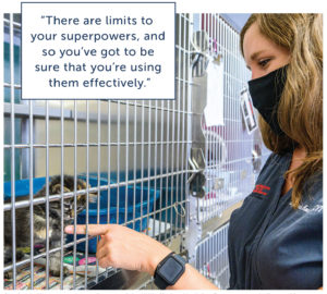 Stephanie Koester, assistant director of the UW’s Shelter Medicine Program, says hello to a kitten at the Dane County Humane Society