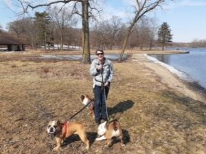 In a volunteer role, Sawchuk and her dogs walk along the Rock River parks in Janesville to encourage the geese to stay in the river