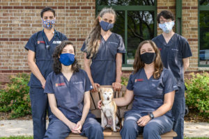 Some members of the UW Shelter Medicine team pose in July