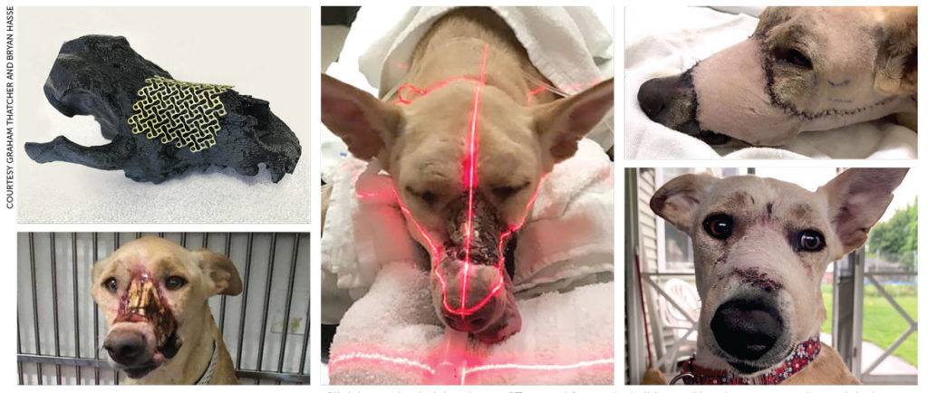 Collage of images showing Gemma's care