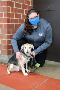 Brittney Maehl with Chester outside of UW Veterinary Care.