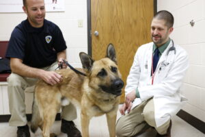 Officer Eric Disch and police dog Jagger of the Madison Police Department visit with Snyder at UW Veterinary Care in 2015.