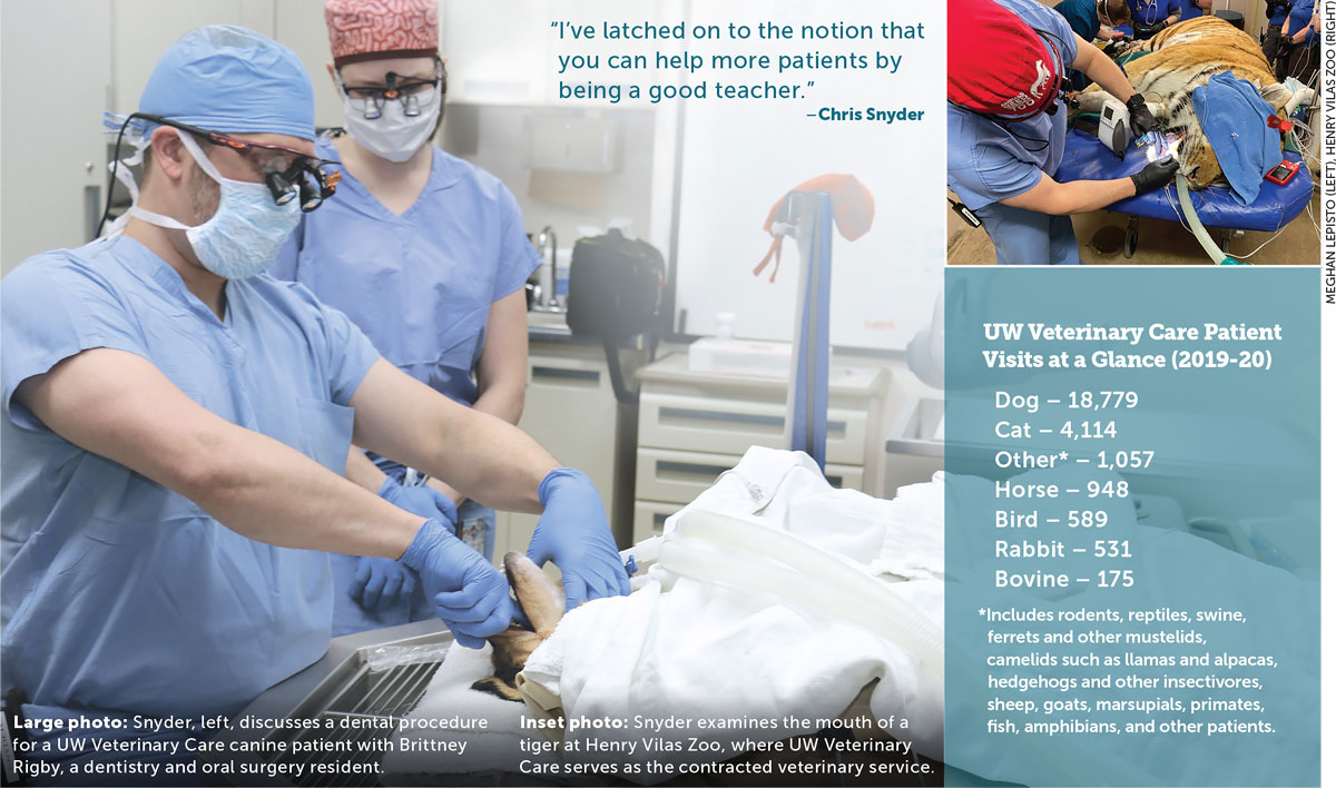  Photos of veterinarian Chris Snyder at work and UW Veterinary Care patient visits at a glance