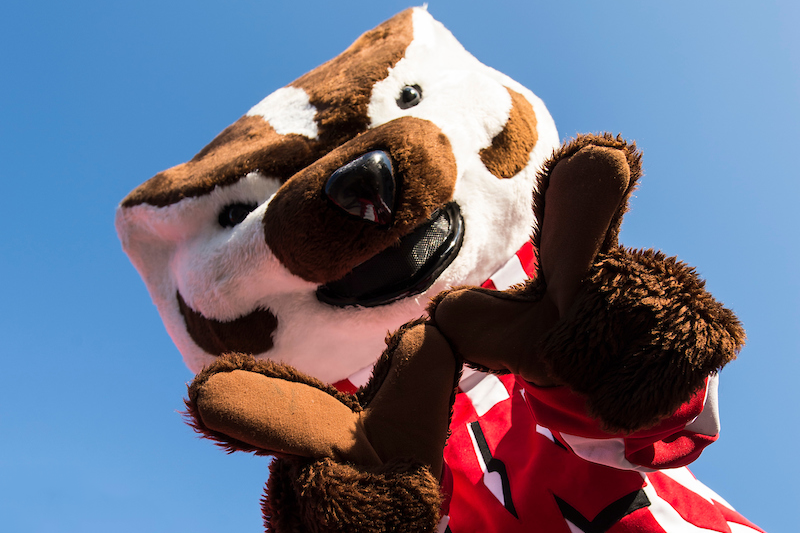 Bucky Badger with W hands