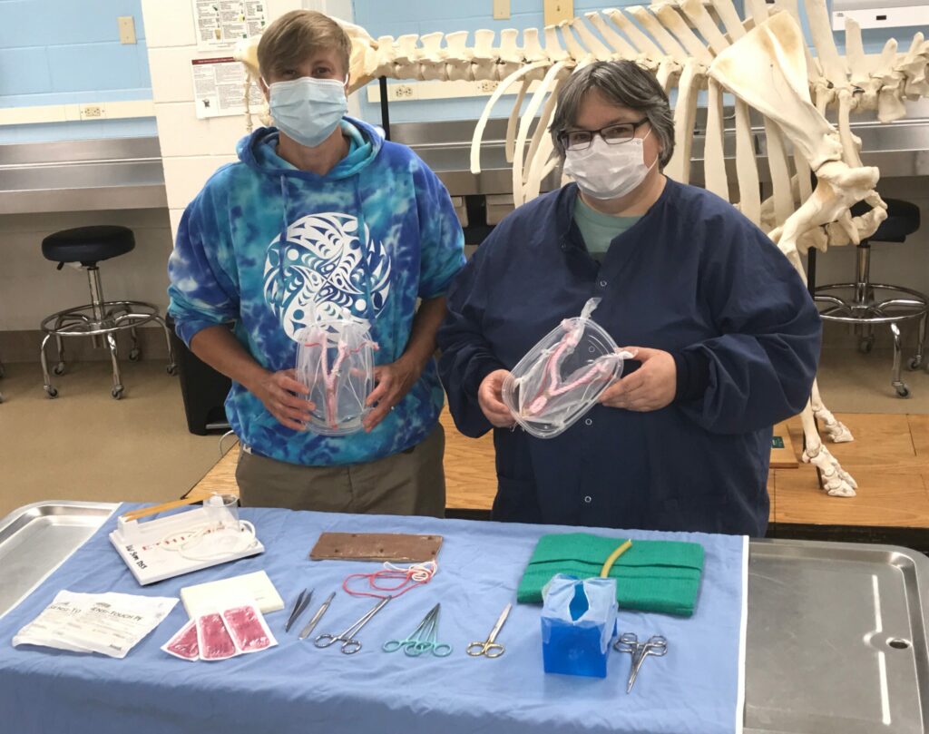 Instructional specialists McLean Gunderson and Tina Wahl created surgery kits and handmade surgical teaching models for students to practice with remotely, including this model of the female reproductive tract to rehearse spay surgeries