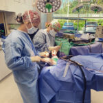 Annie Pankowski (foreground) assists her mother, veterinarian Diane Craig, during surgery at Craig’s veterinary medical clinic in California