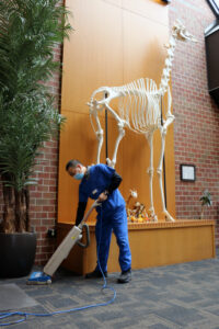 Custodian Kwok Kuen Chu, part of the kennels staff, vacuums an entrance to UW Veterinary Care
