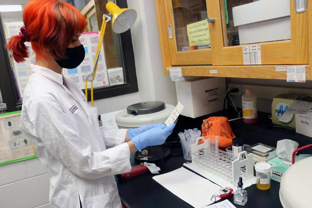 Veterinary medical student Michelle Milanov conducts a urinalysis (urine test) on a patient sample