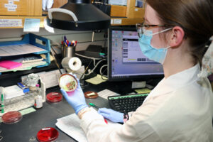 Microbiologist Emily Vander Zanden performs a subculture test to assess antibiotic susceptibility
