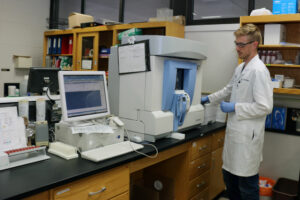 Veterinary medical student Aaron Goebel views the results of a patient blood specimen run through a hematology analyzer