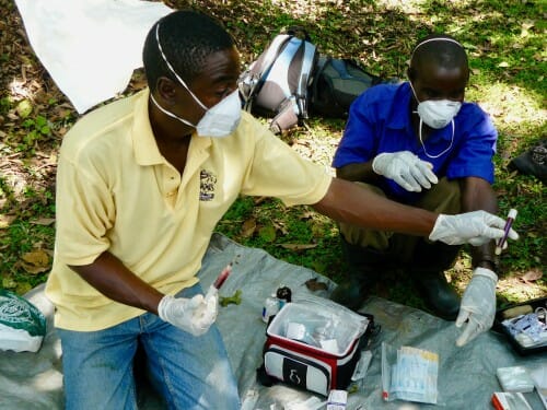Fieldwork in Kibale National Park, Uganda. Pictured are collaborating veterinarian Dr. David Hyeroba (left) and Kibale EcoHealth Project field assistant Patrick Katuramu (right)