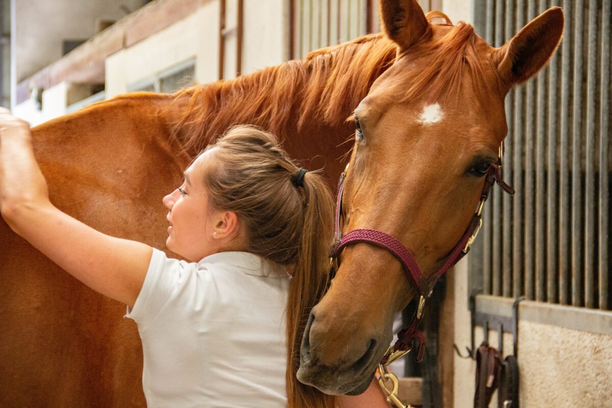woman with arm on sorrel horse