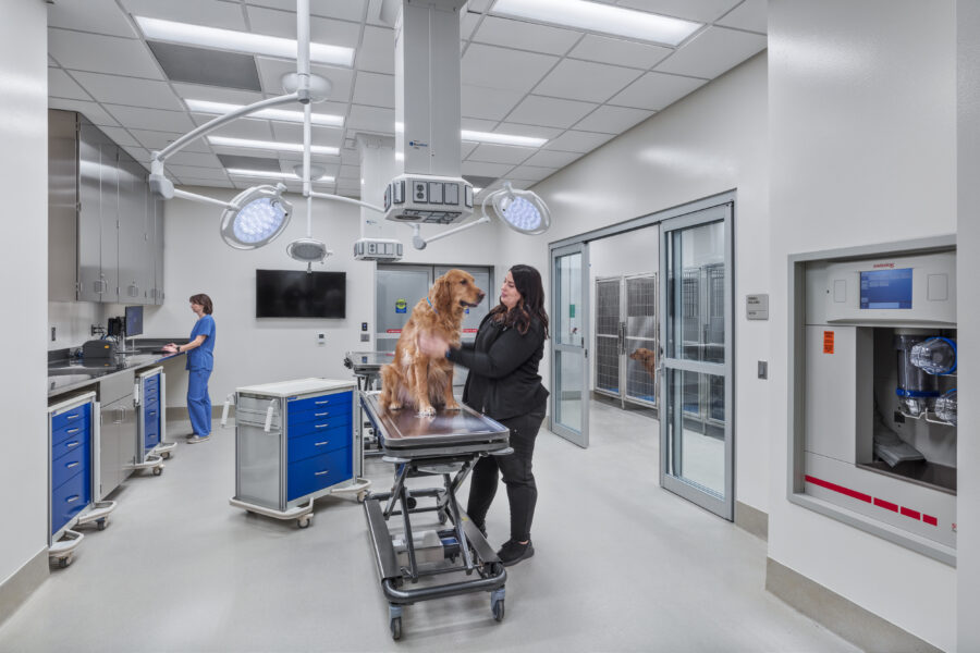 University of Wisconsin School of Veterinary Medicine