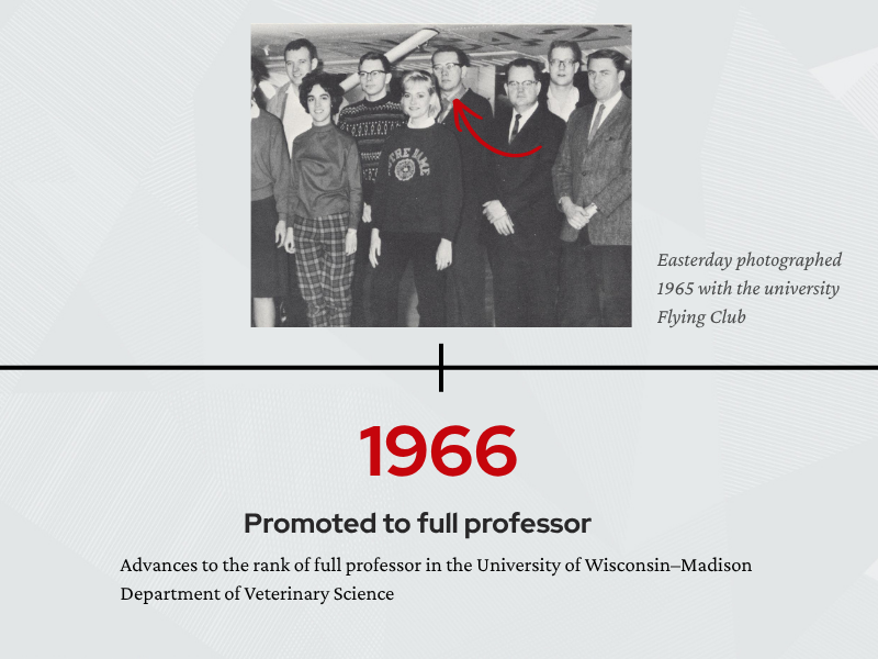Timeline page for 1966. Text states that Easterday was promoted to full professor in the UW–Madison Department of Veterinary Science. Above the timeline is a black-and-white group photo from 1965 with an arrow indicating Easterday among members of the university Flying Club.
