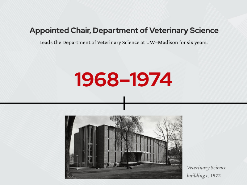 Timeline page for 1968 to 1974. Text states that Easterday was appointed chair of the Department of Veterinary Science and led the department at UW–Madison for six years. Below the timeline is a black-and-white photo of the Veterinary Science building around 1972.