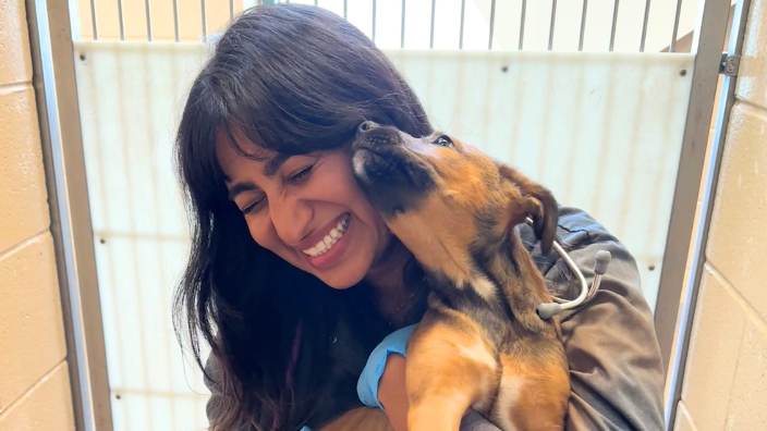 DVM student embraces a dog in an animal shelter cage
