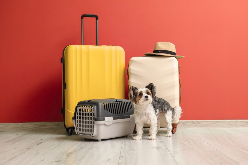 A small dog with a yellow roll suitcase, beige suitcase with a hat on it and small carrier.